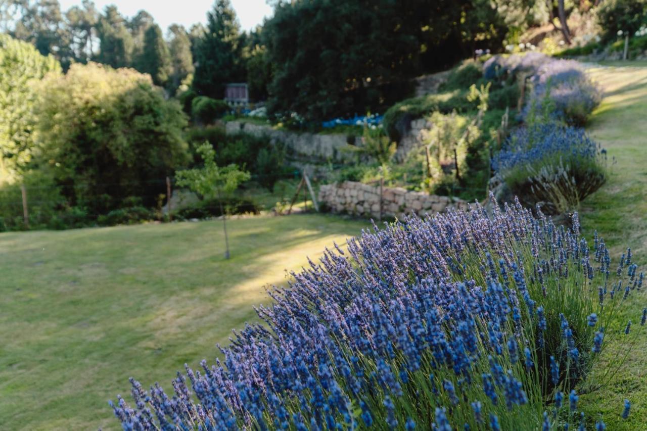 Casa Agricola Da Levada Eco Village 2*